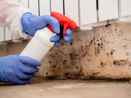 Cameron Park, TX Mold Inspection Company